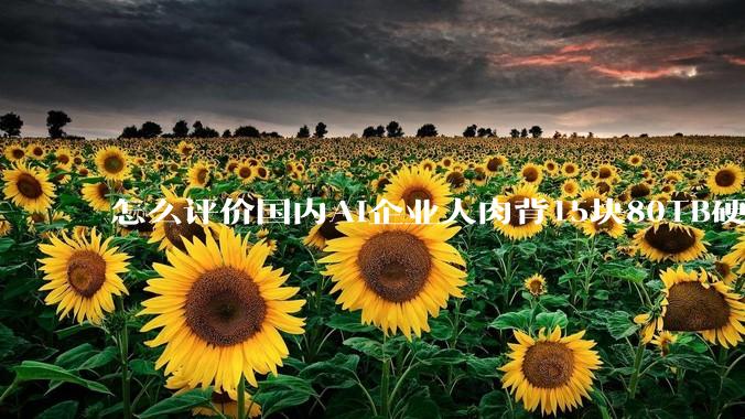 怎么评价国内AI企业人肉背15块80TB硬盘，飞去马来西亚用英伟达训练数据，以规避美国禁令?