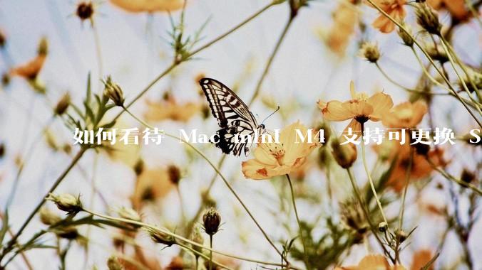 如何看待 Mac mini M4 支持可更换 SSD？